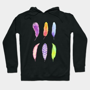 Vibrant watercolor feathers Hoodie